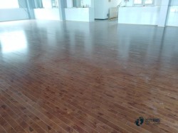 ʵľ���򳡹ݵذ廷��