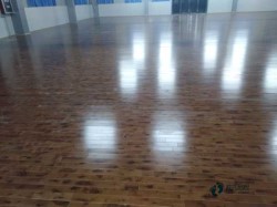 ��Ʒ�������˶�ľ�ذ屣��